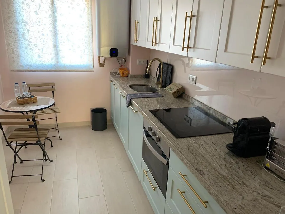 Malaga Estacion - Casa De La Rosa Apartment 0*,